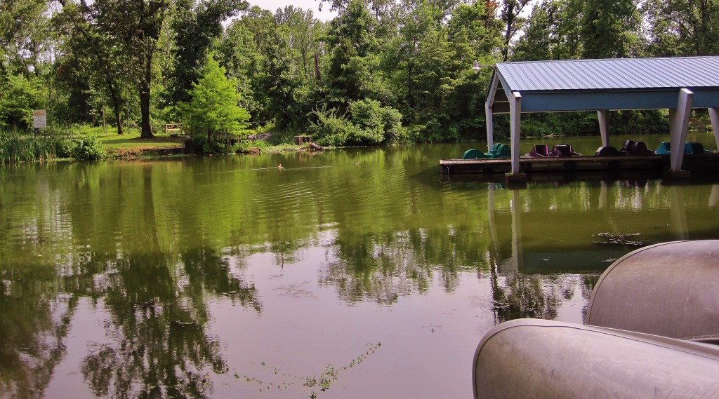 Saluki Marooned Campus Lake